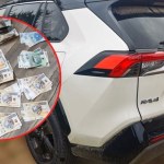 Gang handlarzy kradzionych aut rozbity. Sześć osób zatrzymanych