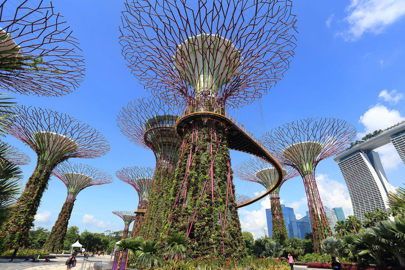 Gardens By The Bay /123RF/PICSEL