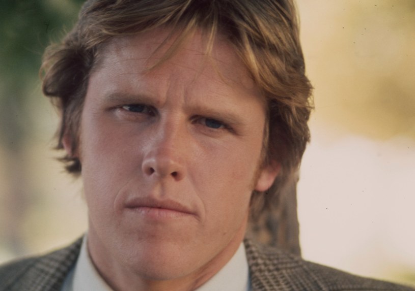 Gary Busey /American Broadcasting Companies  /Getty Images
