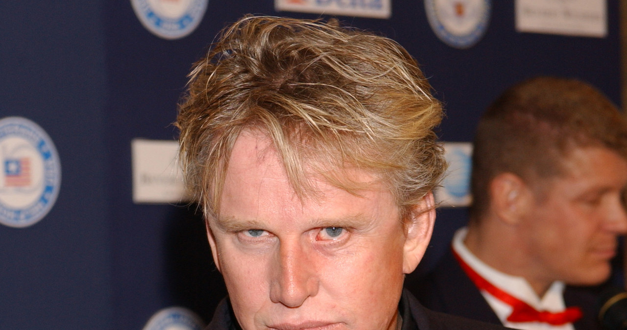 Gary Busey /Arun Nevader /Getty Images