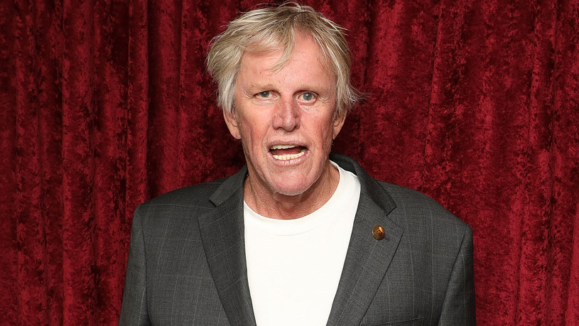 Gary Busey /Taylor Hill/Getty Images /Getty Images