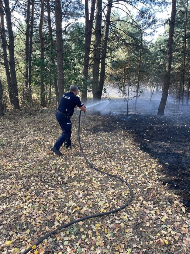 Gaszenie pożaru w okolicach Zalewu Siemianówka /KMP Białystok /Policja