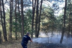 Gaszenie pożaru w okolicach Zalewu Siemianówka