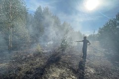 Gaszenie pożaru w okolicach Zalewu Siemianówka