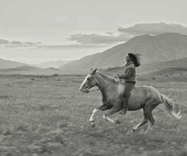 "Gaucho Gaucho" [trailer]