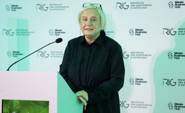 Gaz, ropa, wodór i atom. Minister przemysłu o kompetencjach resortu