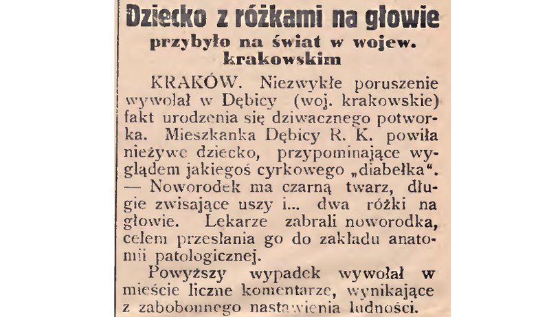"Gazeta Polska" /domena publiczna