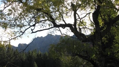 "Gazeta Wyborcza": Turyści zadepczą Kasprowy Wierch?