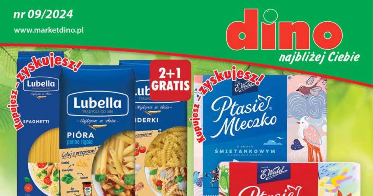 gazetka promocyjna Dino /Dino /INTERIA.PL