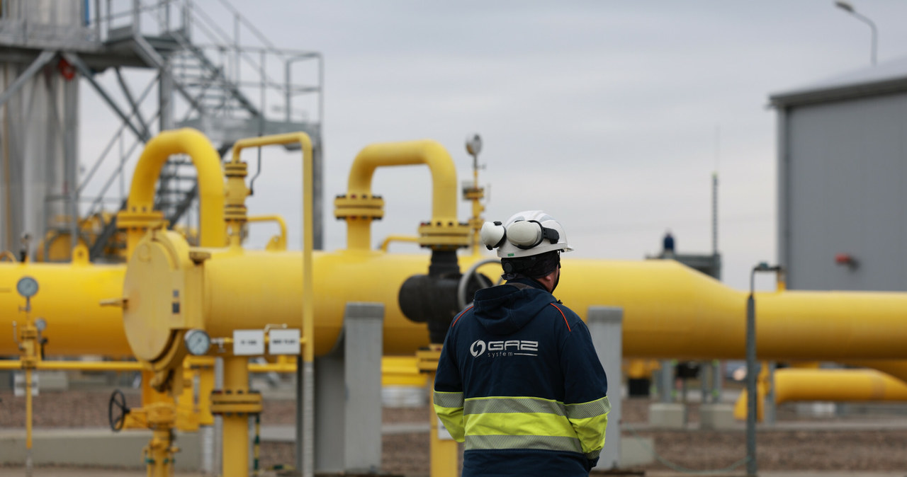 Gazociąg jest wspólną inwestycją operatorów systemów przesyłowych gazu z Polski i Danii. Zdj. z uroczystości otwarcia gazociągu Baltic Pipe /Robert Stachnik /Reporter