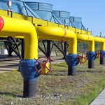 Gazprom wstrzymuje tranzyt do Niemiec gazociągiem Jamał-Europa