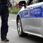 Gdańsk: 21-latek znęcał się nad psem. Usłyszał zarzuty i trafił do aresztu