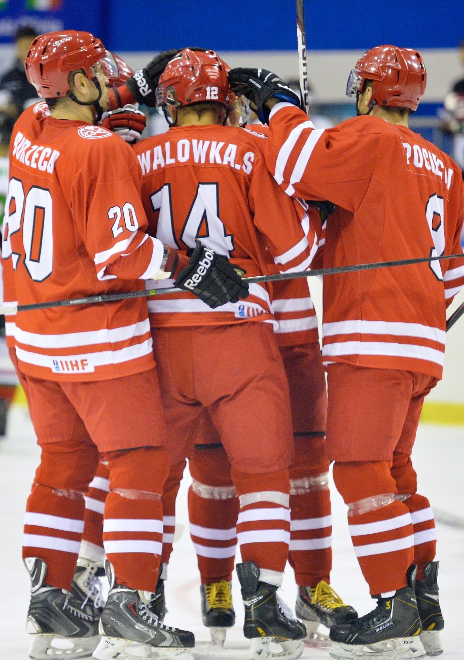 Gdańsk, 7 lutego 2014. Zawodnicy reprezentacji Polski fetują zdobycie gola w meczu z Węgrami podczas turnieju Euro Ice Hockey Challenge /Adam Warżawa /PAP