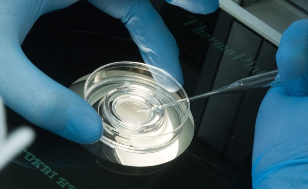 Gdańsk przymierza się do dofinansowywania zabiegów in vitro