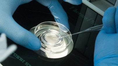 Gdańsk przymierza się do dofinansowywania zabiegów in vitro