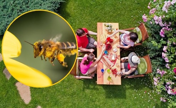 Gdy je zobaczysz, nie panikuj. Jeden z tych owadów gryzie tylko raz