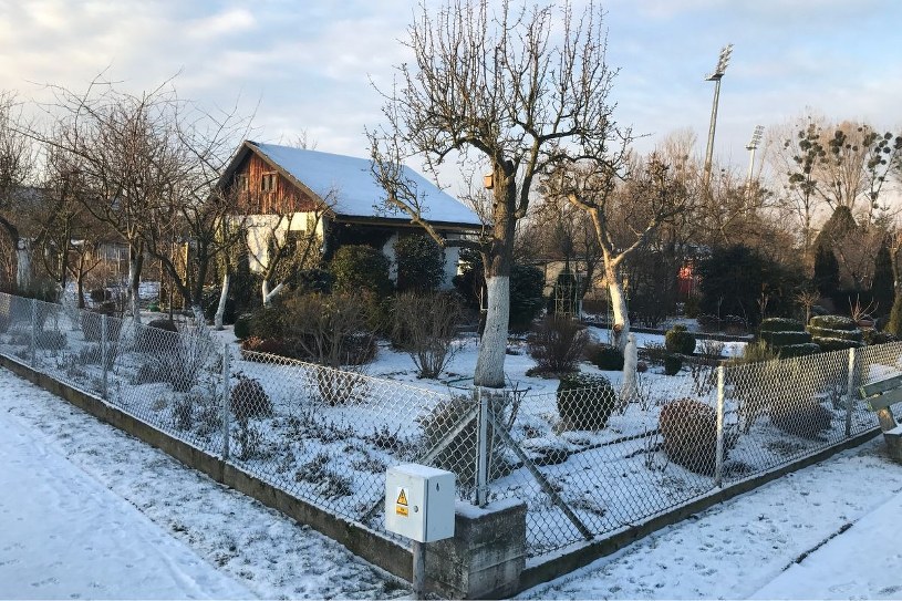 Gdy śnieg stopnieje, chwyć za szczotkę. O tym zabiegu zapomina wielu ogrodników