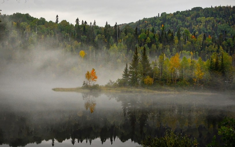 Gdy woda jeziorna paruje, może powstać mgła /Alain Audet /pixabay.com