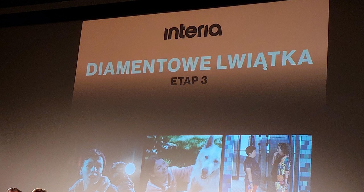 Gdynia: Platynowe Lwiątka /INTERIA.PL