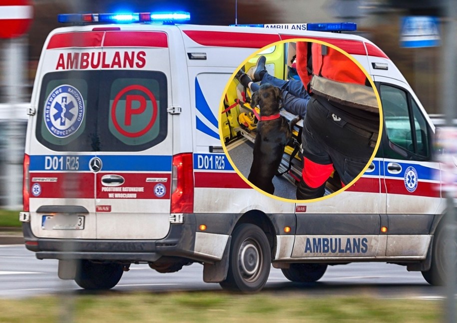 Gdyńscy ratownicy pokazali serce /Shutterstock