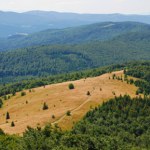 Gdzie jest "Królowa Beskidu Wyspowego"? Zdobędziesz ją łatwym szlakiem 