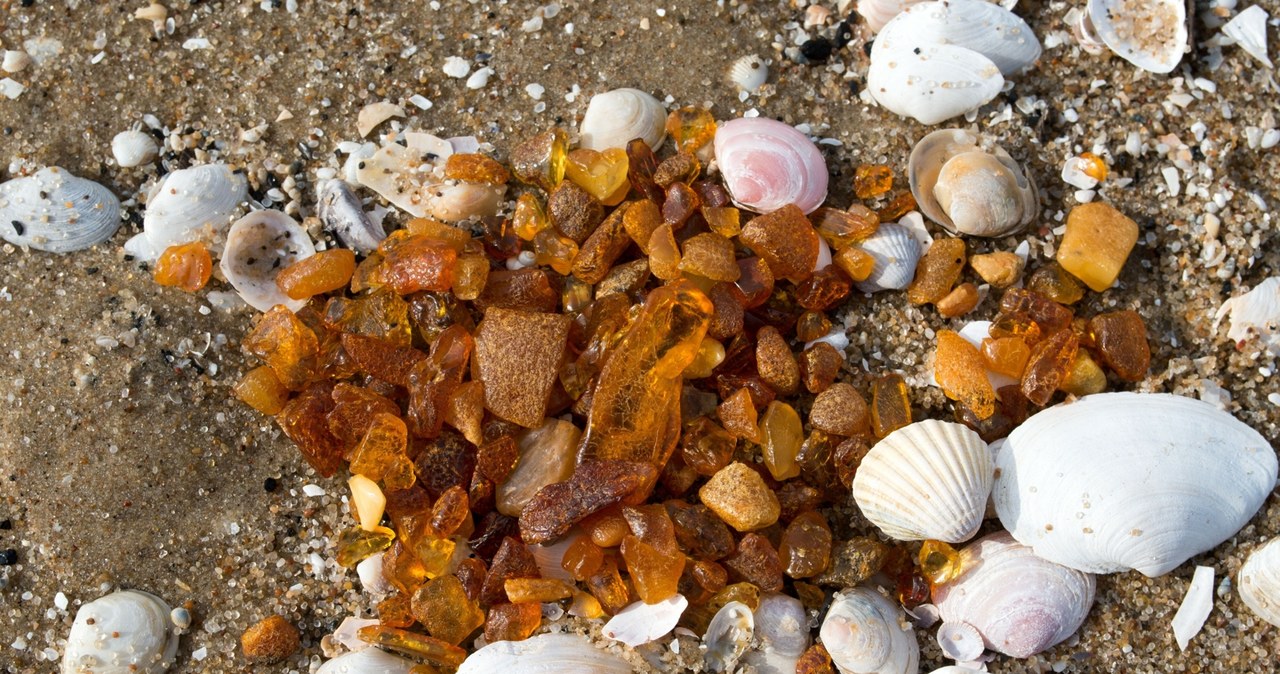 Gdzie można znaleźć bursztyn? Na tych plażach jest go najwięcej. /East News