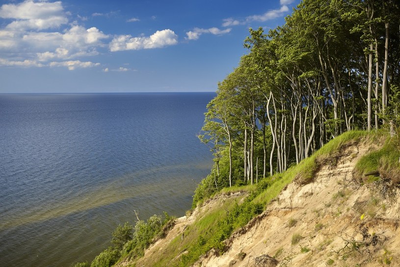 Dzikie plaże nad Bałtykiem. 11 miejsc, które musisz zobaczyć - Zielona