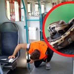 Gdzie się podział pyton? Przeszukali cały pociąg 