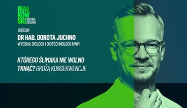 Gdzie się podziały polskie winniczki? Lądują na talerzach i w kosmetykach
