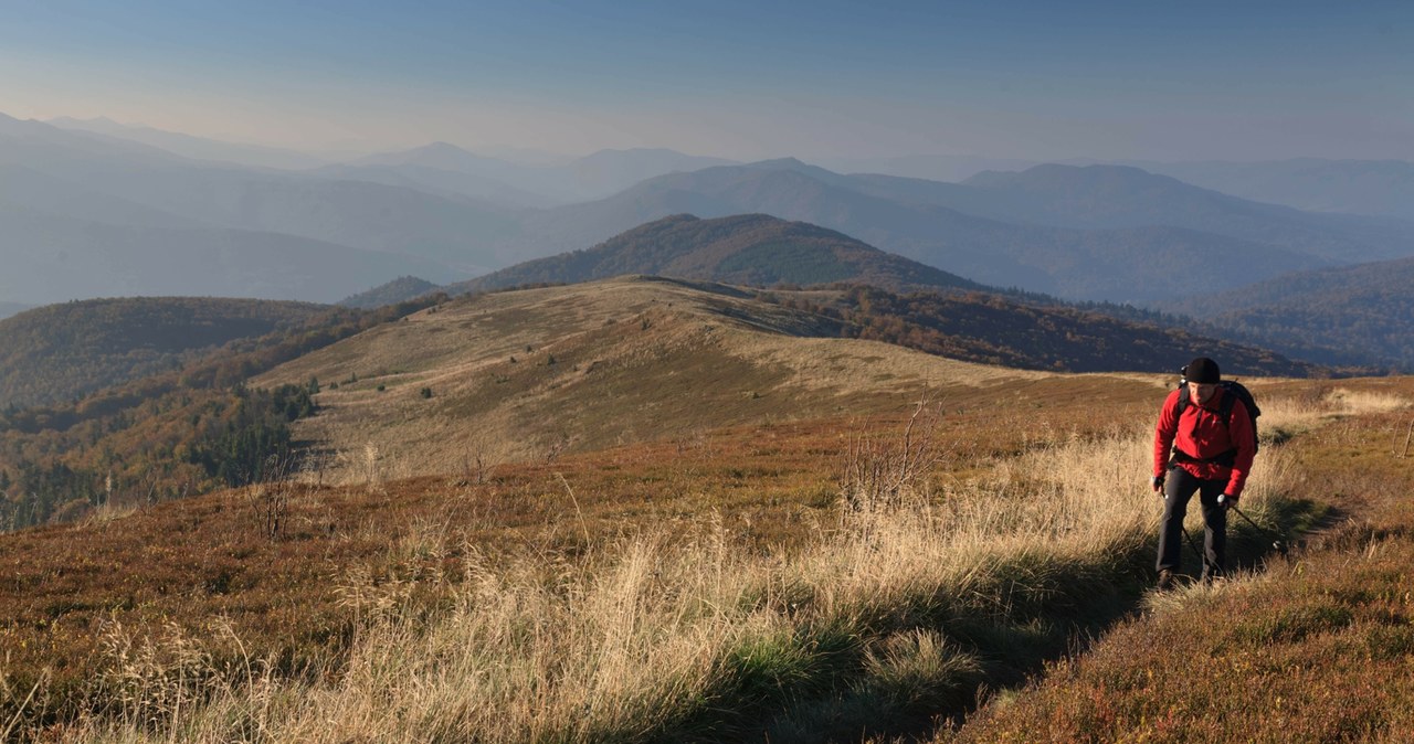 Gdzie w Bieszczady jesienią? Nie tylko Połonina Wetlińska jest dobrym celem. /East News