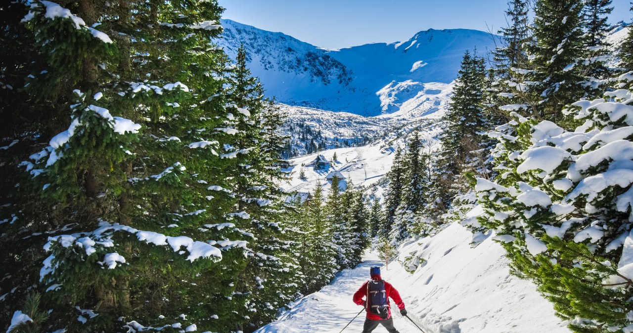 Gdzie warto jechać na narty w Polsce? /Adobe Stock
