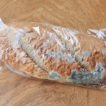 Gdzie wyrzucasz spleśniały chleb? Niby proste, a wielu z nas wciąż się myli