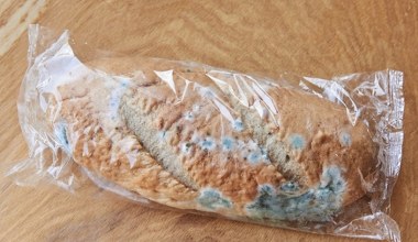 Gdzie wyrzucasz spleśniały chleb? Niby proste, a wielu z nas wciąż się myli 