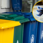 Gdzie wyrzucasz ulotki? Zdziwisz się, ale popełniasz błąd 