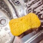 Gdzie wyrzucić stare gąbki? Wielu Polaków robi to źle