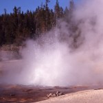 Gejzer Echinus w Yellowstone znów aktywny. Niezwykły powrót po latach ciszy
