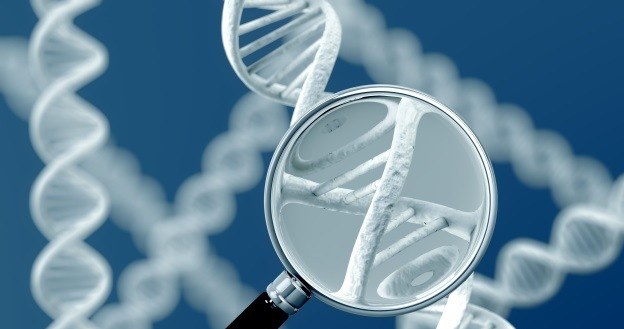 Genetyczne złośliwe oprogramowanie może być pożyteczne /123RF/PICSEL