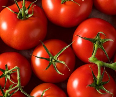 Genetycznie zmodyfikowane pomidory pełne witaminy D