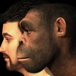 Geny neandertalczyków nie znikają z naszego DNA