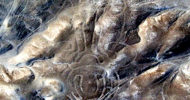Geoglify na płaskowyżu Nazca widziane z lotu ptaka. Czy rzeczywiście zrobili je indianie? /AFP