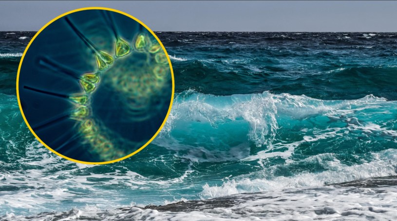Geoinżynieria oceanów ma pomóc w walce ze zmianami klimatu /Pixabay.com