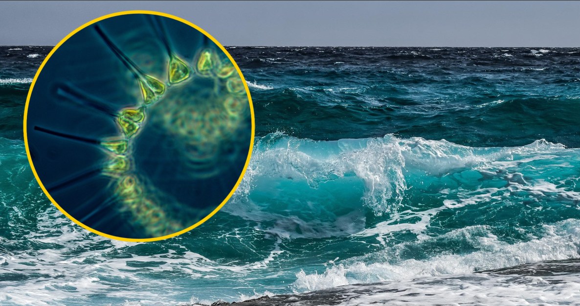 Geoinżynieria oceanów ma pomóc w walce ze zmianami klimatu /Pixabay.com
