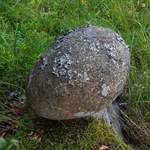 Geologiczny fenomen w Chinach. Góra sprawia wrażenie jakby składała jaja