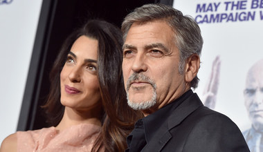 George Clooney i jego żona adoptowali psa!