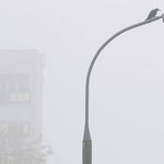 Gęste mgły w ośmiu województwach. IMGW ostrzega