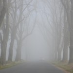 Gęste mgły w ośmiu województwach. RCB ostrzega