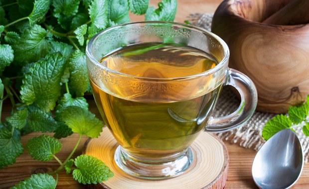 GIF wycofuje z obrotu zioła do zaparzania