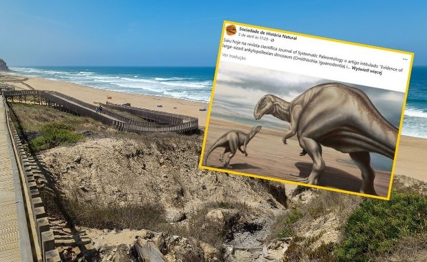 Gigant z Portugalii. Odkryto skamielinę nieznanego dinozaura