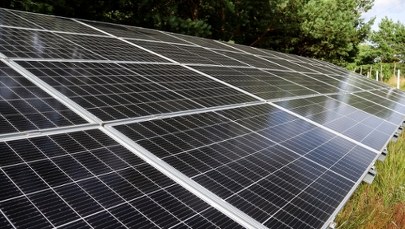 Gigantyczna inwestycja pod Wrocławiem. Powstanie fabryka i nowe miejsca pracy 