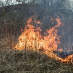 Gigantyczna liczba pożarów traw w Polsce. Kilka osób rannych
